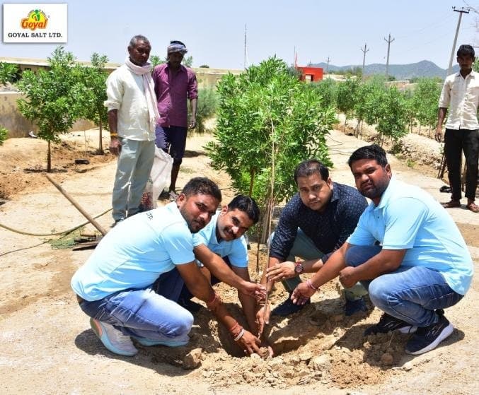 Goyal Salt Facility & Operations