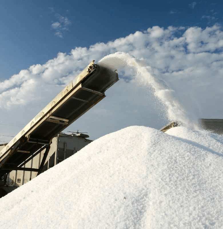 Salt Processing