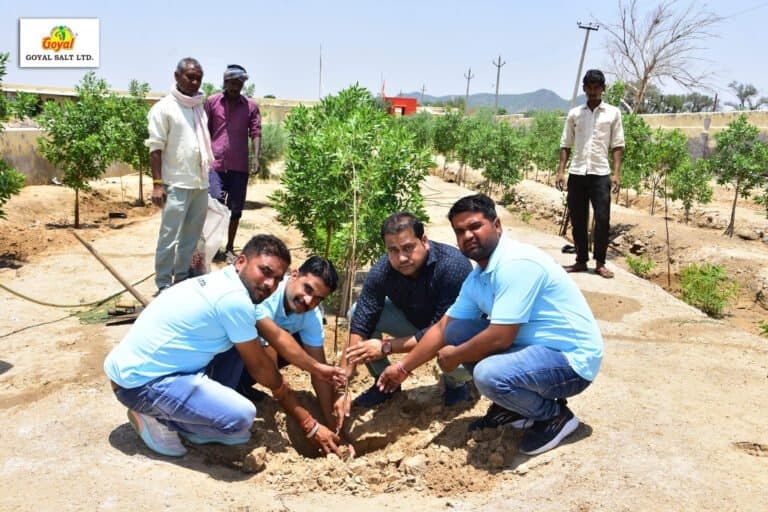 CSR Activity